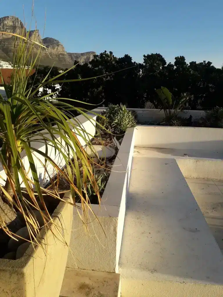 cape-town-floor-cleaning_11